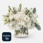 Postidal, postidal.com